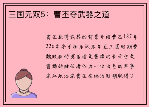 三国无双5：曹丕夺武器之道