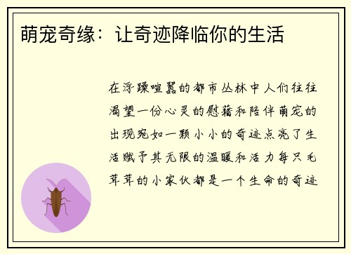 萌宠奇缘：让奇迹降临你的生活